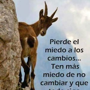 Meet your Posher, Miguel angel